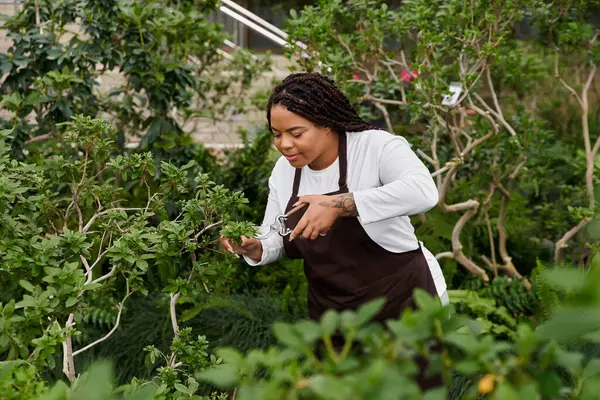 Saçları örgülü siyah bir kadın, canlı bir serada narin bitkilerle ilgilenir, tutkusunu gösterir..