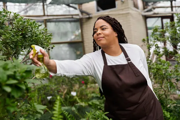 Örgülü Afrikalı bir Amerikalı kadın neşeyle seraya çiçek dikmeye meyillidir..
