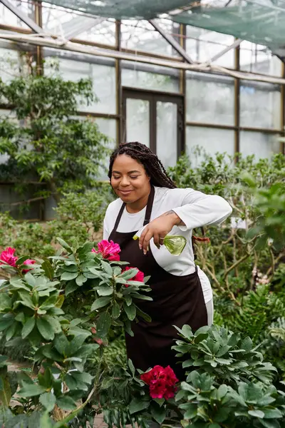Saçları örgülü Afrikalı bir Amerikalı kadın çiçeklerini yemyeşil bir serada dikkatlice suluyor..
