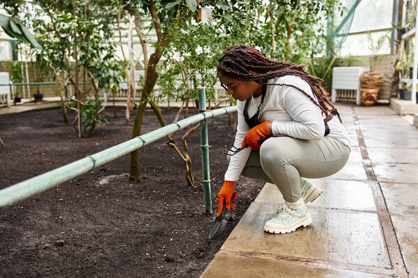 An African American woman with braids cultivates the soil in a thriving greenhouse environment.