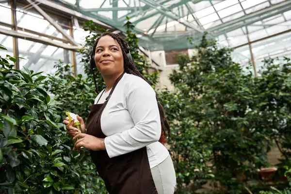 Örgülü Afrikalı bir Amerikalı kadın neşe içinde seradaki yemyeşil bitkilerle ilgileniyor..