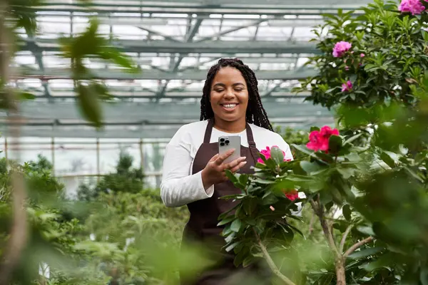 Hevesli bir bahçıvan seradaki canlı çiçeklerin arasında mutlu anları yakalar..