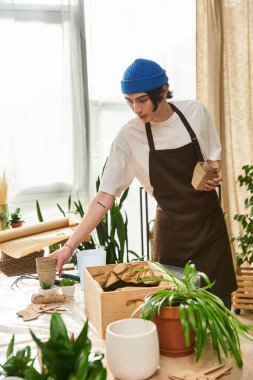 Genç adam, doğal ışığın aktığı yemyeşil bir stüdyoda bitki naklediyor.