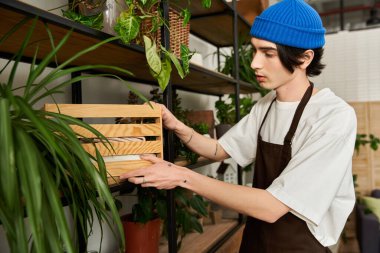 Yakışıklı genç adam yeşilliklerle dolu canlı bir stüdyoda dikkatlice bitki naklediyor..