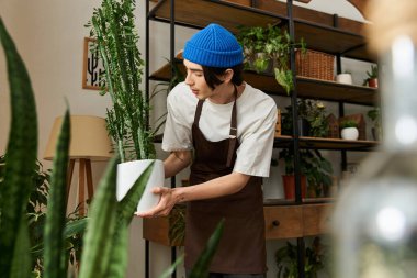 Genç bir adam dikkatle bir bitkiyi yeni bir çömleğe yerleştirir. Stüdyoda yemyeşil bir ortamda..