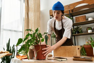 Genç adam özenle gelişmekte olan bir bitkiyi kapalı bir stüdyoya naklediyor..