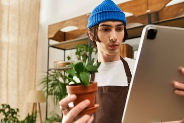 Mavi bereli odaklanmış genç bir adam tablet kullanırken saksı bitkisine dikkatle bakar..