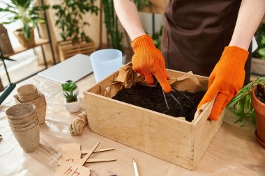 Eldivenli genç bir adam canlı bir stüdyoda bitki nakli üzerinde çalışıyor..