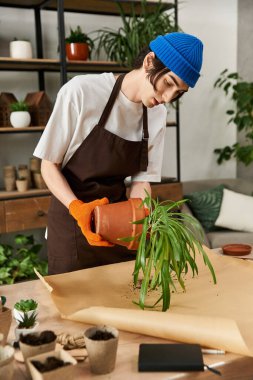 Genç bir adam, yeşillik dolu şık bir salonda bitki naklediyor..