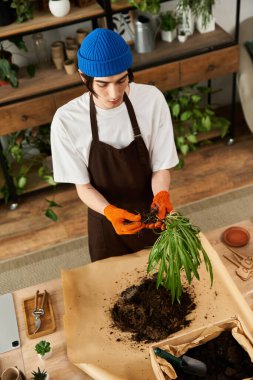 Meşgul genç adam bahçeye olan sevgisini göstermek için bitkileri taze toprağa aktarıyor..