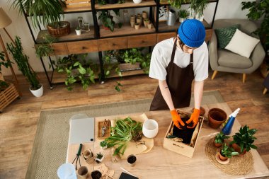 Yakışıklı genç adam canlı bir stüdyo ortamında sağlıklı bitkileri dikkatlice naklediyor.