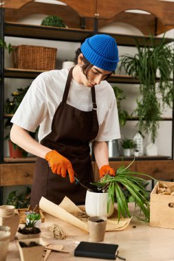 Bereli yakışıklı genç adam, güneş ışığında bir stüdyoda dikkatlice bitkilere eldiven naklediyor..