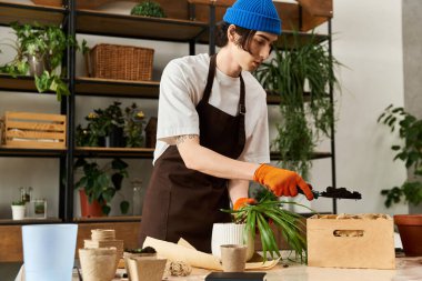 Yakışıklı genç adam sakin bir bahçe stüdyosunda bitki nakletmeye odaklanmış..