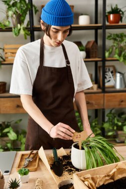 Genç adam yeşilliklerle dolu parlak bir stüdyoda canlı bitkiler nakletmek için özenle çalışıyor..