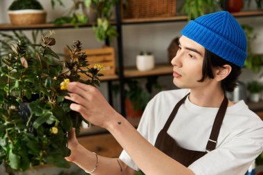 Yakışıklı genç adam yeşillik dolu şık bir stüdyoda bitkilerine özen gösterir..