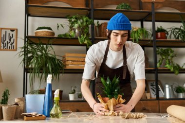 Mavi bereli genç adam bitkileri parlak bir stüdyoda yeni saksılara taşımaya odaklanmış..