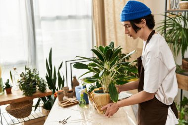 Genç adam dikkatli bir şekilde yeşillik dolu güneşli bir stüdyoda canlı bitkiler naklediyor..