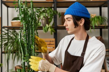 Genç adam, yeşillik dolu şık bir stüdyoda ustaca canlı bitkiler naklediyor.