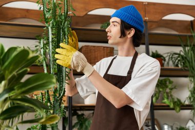 Eldivenli genç bir adam parlak bir stüdyoda canlı bitkiler naklediyor..