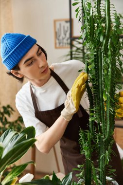 Stüdyoda genç bir adam, eldivenli ve mavi bereli bitkileri özenle yetiştiriyor..