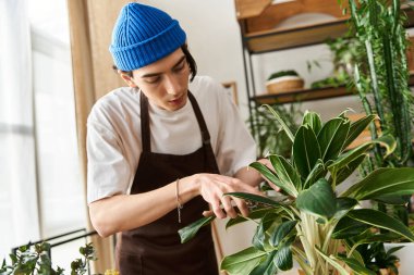 Rahat bir stüdyoda genç bir adam bitkilerle ilgileniyor ve onları ustalıkla saksılara naklediyor.