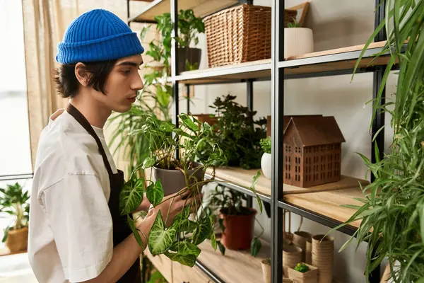 Çekici bir genç adam bitkilerle dolu sıcak, davetkar bir stüdyoda yeşillik naklediyor..