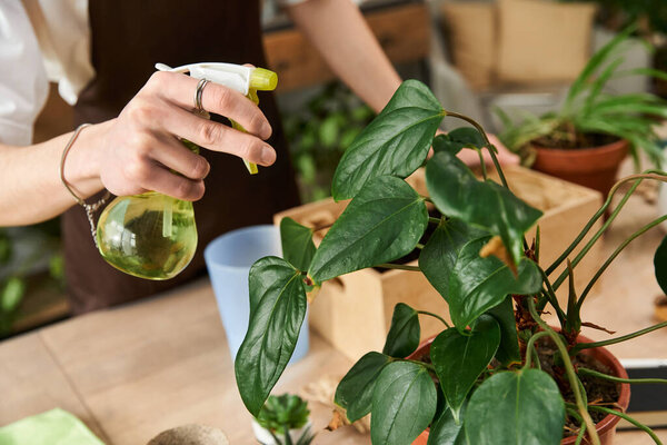 Handsome young man diligently takes care of lush plants in a vibrant studio environment.
