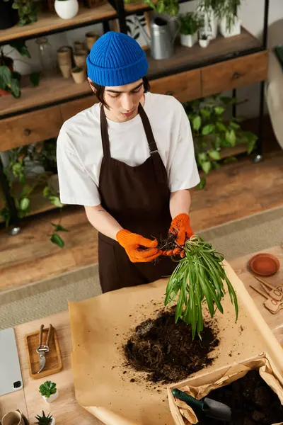 Meşgul genç adam bahçeye olan sevgisini göstermek için bitkileri taze toprağa aktarıyor..