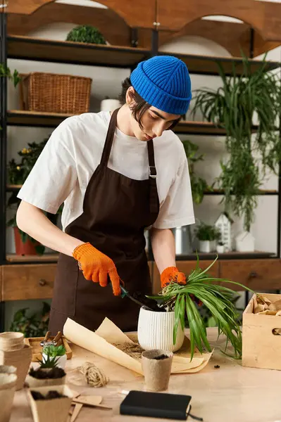Bereli yakışıklı genç adam, güneş ışığında bir stüdyoda dikkatlice bitkilere eldiven naklediyor..