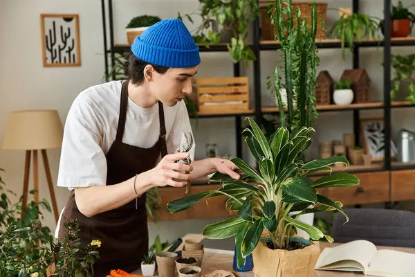 Yakışıklı genç adam, parlak ve davetkar bir stüdyoda bitkilerle dikkatlice ilgileniyor.