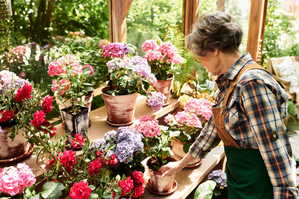A senior woman lovingly cares for colorful flowers in a well kept garden, surrounded by nature.