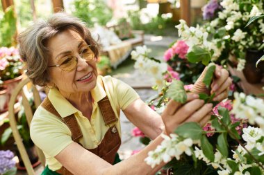 Neşeli kadın güneşli öğleden sonraları huzurlu bahçesinde canlı çiçeklerle ilgilenir..