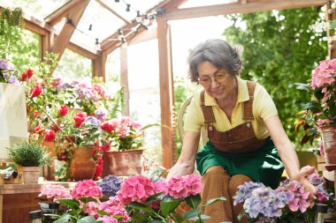 Son sınıf öğrencisi bir kadın neşeli bir şekilde güneşli bahçesinde canlı çiçekler düzenler..