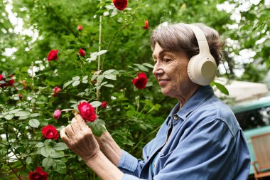 Son sınıf öğrencisi bir kadın müziğin tadını çıkarırken gülleri zevkle inceler..