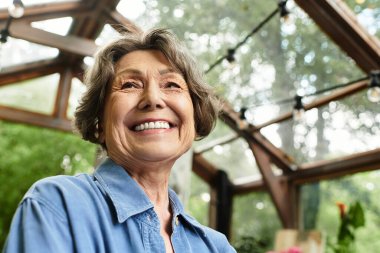 Sevimli yaşlı bir kadın bahçesinde güneşli bir günde çiçeklerle çevrili olarak rahatlar..