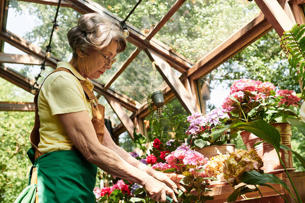 Amidst a blossoming garden, a senior woman carefully prunes colorful flowers under warm sunlight.
