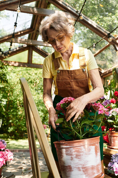 A senior woman lovingly cares for blooming flowers in her peaceful morning garden.