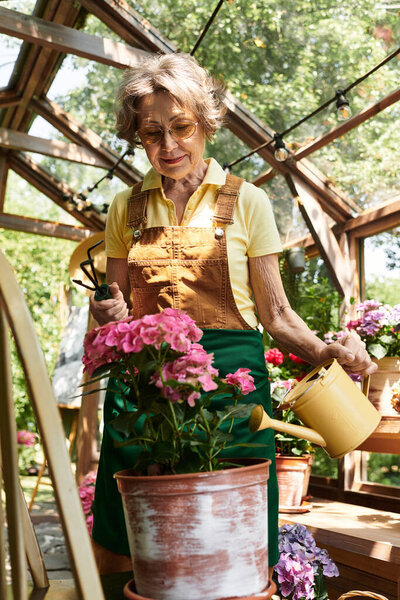 Beautiful senior woman cares for colorful blooms in a sunny garden filled with greenery.