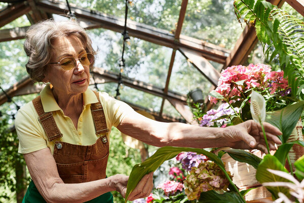 A beautiful senior woman carefully nurtures blooming plants in her lush garden filled with colors.