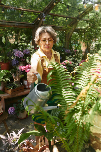 Beautiful senior woman carefully watering vibrant plants in her enchanting garden space.