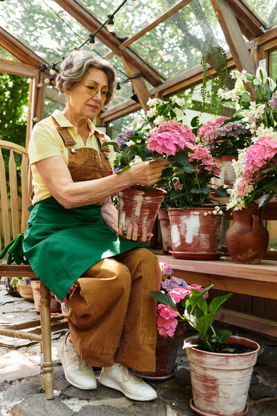 A beautiful senior woman lovingly cares for her blooming flowers in a sunny garden setting.