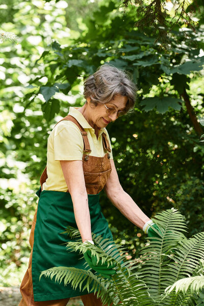 Senior woman carefully nurtures beautiful ferns in her vibrant garden filled with greenery.