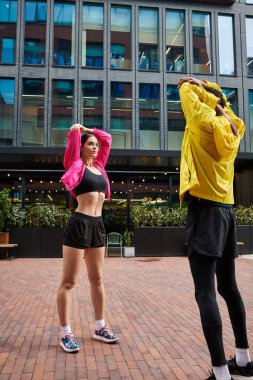 Atletik insanlar modayı takip eden yeşil kentsel alanda senkronize bir ısınma gerçekleştiriyorlar..