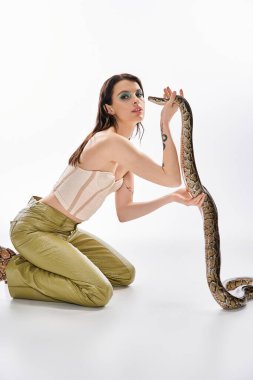 Genç bir kadın büyüleyici bir yılanla parlak bir stüdyoda poz veriyor..