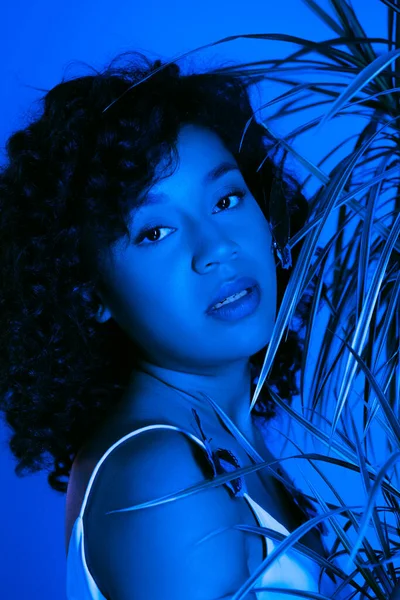 Femme afro-américaine bouclée avec des papillons sur le corps regardant caméra près de feuilles de palmier isolé sur bleu vif — Photo de stock