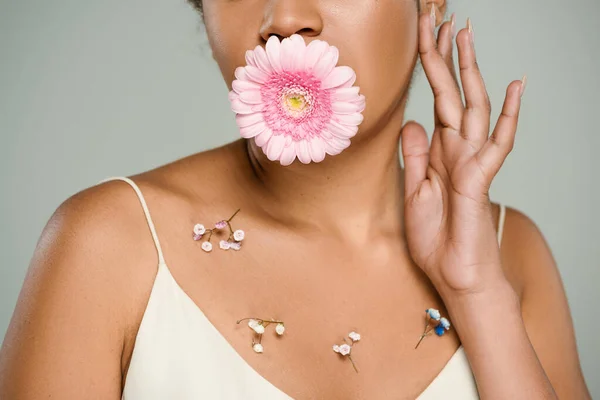 Cropped view of african american woman with flowers on body and gerbera in mouth isolated on grey — Stock Photo