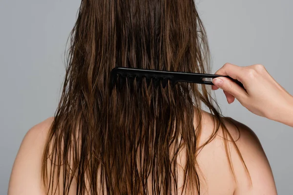 Professional hairdresser brushing wet hair of woman isolated on grey — Stock Photo