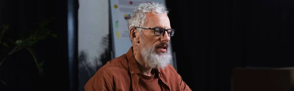 Bearded and grey haired businessman in eyeglasses looking away in office, banner — Stock Photo