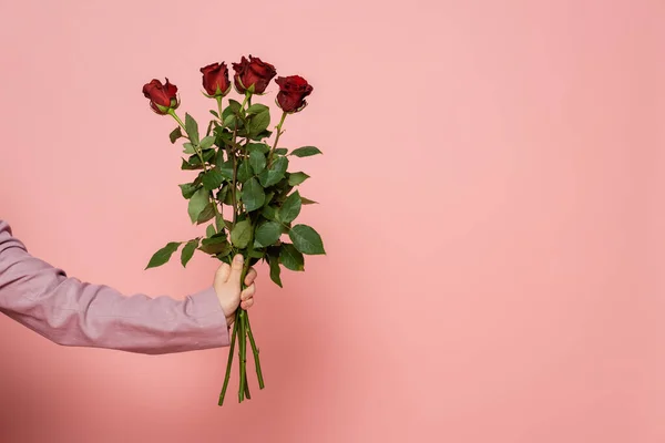 Cropped view of host of event in jacket holding red roses on pink background — Stock Photo