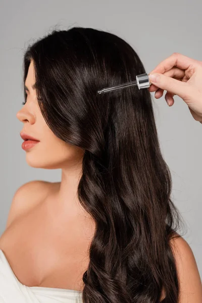 Parrucchiere che tiene contagocce con olio vicino ai capelli lucidi della donna isolata su grigio — Foto stock